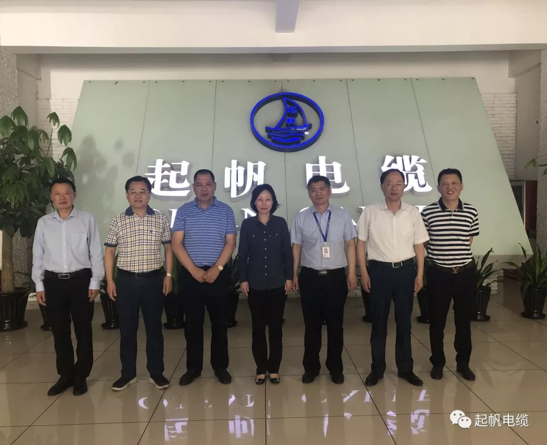 池州市委書記王宏等參觀調(diào)研起帆電纜總部 池州市委書記王宏等參觀調(diào)研起帆電纜總部